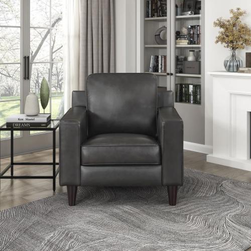 Color dark grey Solaris Gray Leather Arm Chair