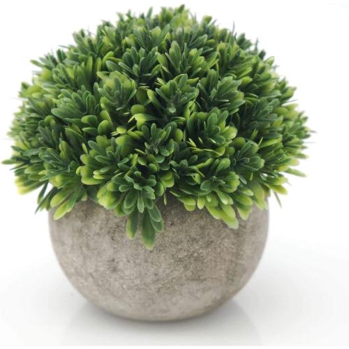Velener Artificial Boxwood Faux Plant Indoor- Topiary Small Desk Plant Decor for Bedroom Office Cubicle Shelf Decor Window Will Plant Shelf Decoration Dorm Kitchen Counter, Farmhouse Home Decor Accent Yellow Green