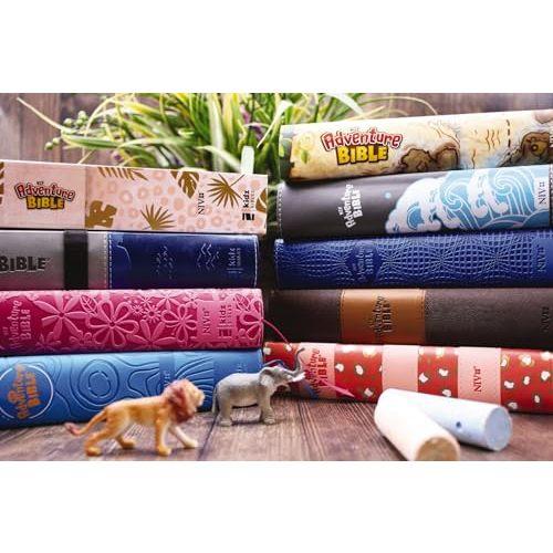 NIV Adventure Bible Hardcover Full Color