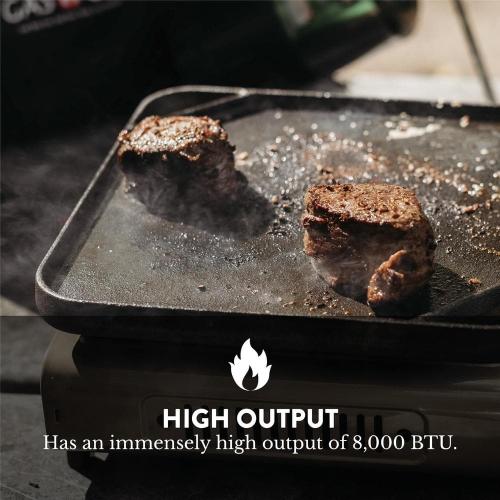 GASONE Propane and Butane Dual Fuel Portable Stove