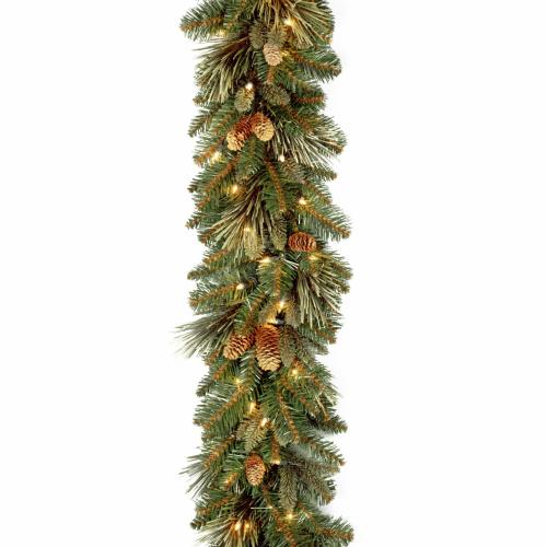 National Tree Company Pre-Lit Artificial Christmas Garland Green Carolina Pine White Lights Decorated with Pine Cones Battery Operated Christmas Collection 9 Feet