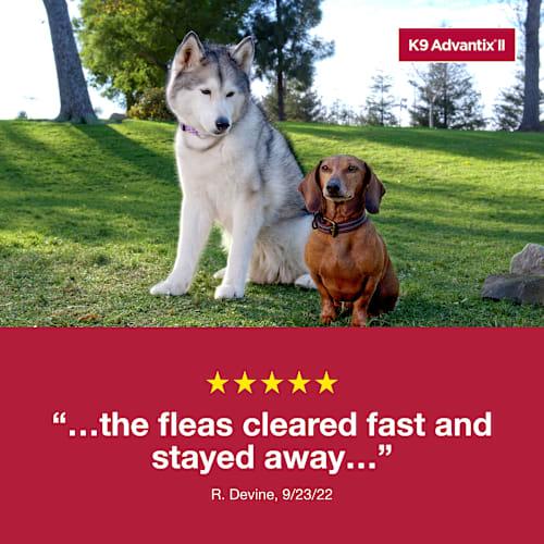 Elanco K9 Advantix II Flea and Tick Prevention - 11-20 lbs. - K9 Advantix II Medium Dog 2-Pack