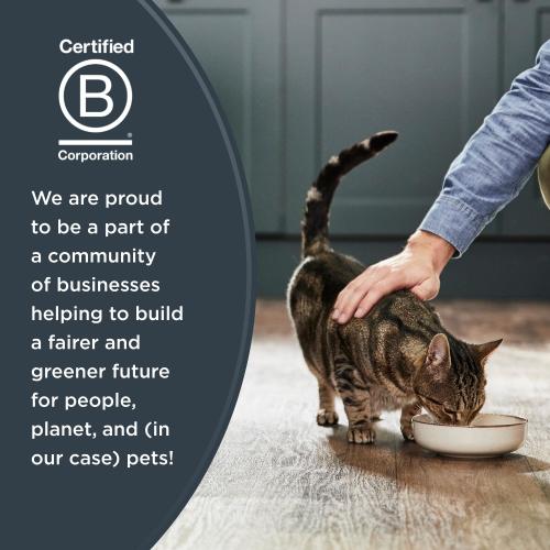 Reveal Natural Wet Cat Food 24 Count Grain Free Limited Ingredient Canned Food for Cats Tuna Fillet in Broth 2.47 oz Cans