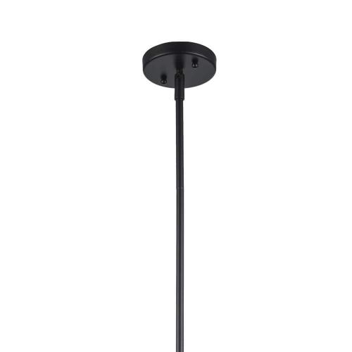 River 13.25 in. 1-Light Black Pendant Light Fixture with ( missing Clear Glass Shade