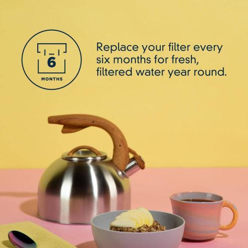 EveryDrop Ice and Refrigerator Water Filter-1