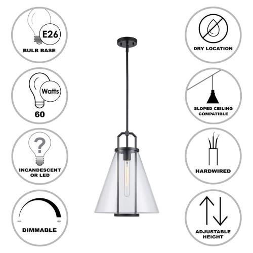River 13.25 in. 1-Light Black Pendant Light Fixture with ( missing Clear Glass Shade