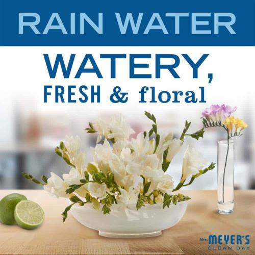(6) 8 fl. oz. Room Freshener Rain Water Air Freshener Spray
