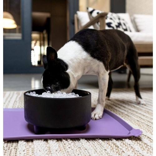 GE Profile Profile Opal 2.0 38 lbs. Ultra Nugget Ice Maker with Scale Inhibiting Filter, with Wifi in White