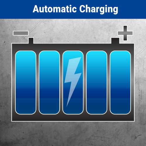0.33 HP Special   Battery Backup Sump Pump System