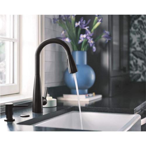 Haelyn Single-Handle Pull-Down Sprayer Kitchen Faucet with Reflex and Power Clean in Matte Black