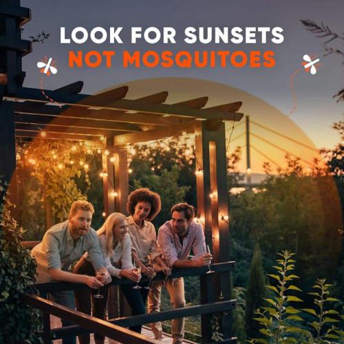 Backyard Bug Control Pretreat, Outdoor Insect and Mosquito Treatment, 32 fl. oz., 1 ct