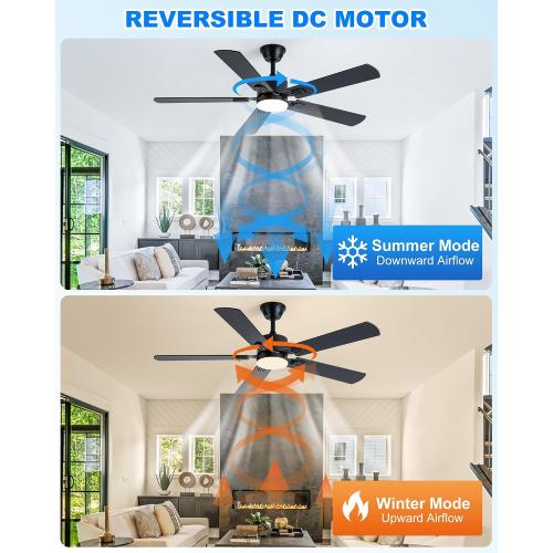 Coolwind 56 Inch Black Ceiling Fan with Display Remote/APP Control