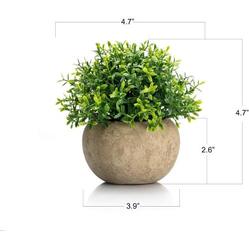 Velener 2Pcs Mini Artificial Boxwood Topiary Faux Plants Indoor- Small Fake Plants Decor Magnolia Home Office Desk Cubicle Farmhouse Kitchen Bookshelf Bedroom Bathroom Decor, Aloe Vera Zen Garden