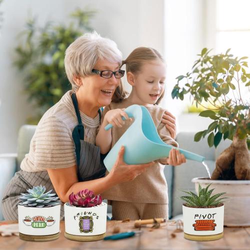 3 Pcs Friends tv Show Cute Merchandise Ceramic Plant Pots,Funny Friends Decor Themed Gifts for Women,for House Plants Garden Planters Succulent Pots(Not Included Plants)