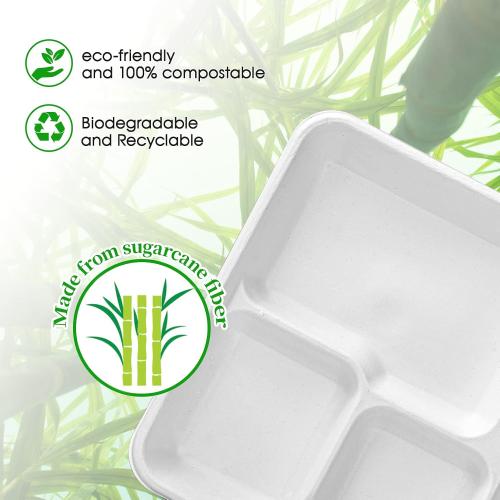ECOLipak Compostable Disposable 125 Compartment Paper Plates, 10.25inch
