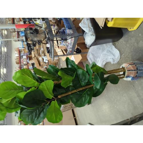 Artificial Fiddle Leaf Fig Tree in Modern White Planter, 5ft