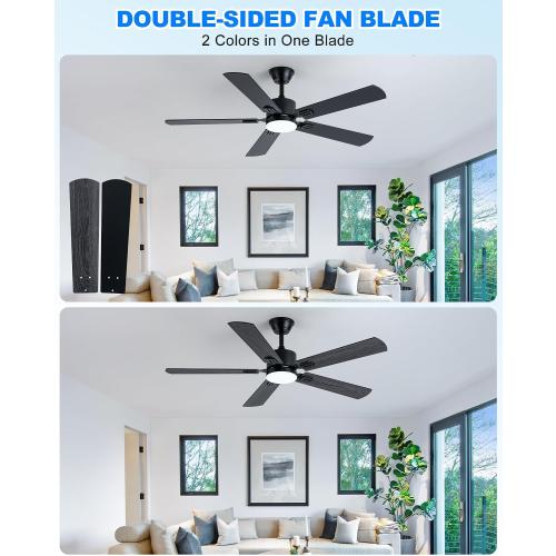 Coolwind 56 Inch Black Ceiling Fan with Display Remote/APP Control