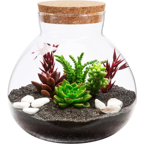SEWACC Glass Terrarium Bottle with Cork Lid, Round Glass Jar for Micro Landscape DIY, Moss Plant Container for Indoor Gardening, Home Decoration, Storage Canister