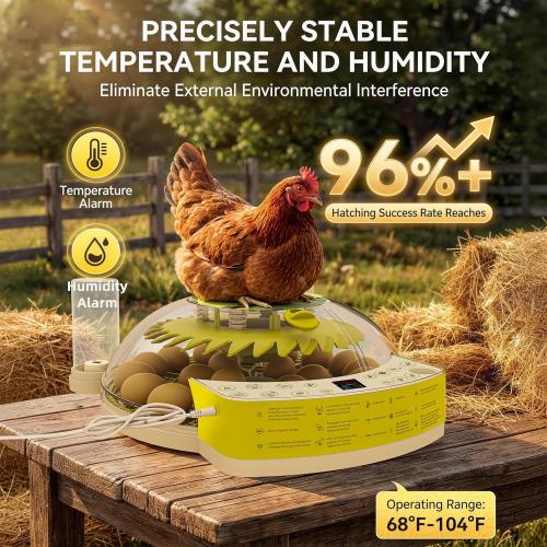 22 Egg Incubators for Hatching Eggs, Temperature & Humidity Control, LED Egg Candler, External Water Bottle Refill, 360° Clear View Window for Chicken Duck Pigeon