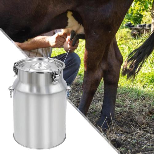 Stainless Steel Milking Machine Bucket with Lid, 10L Milk Can for Cow Sheep Goat Milking Equipment, Farm Milk Storage and Transport
