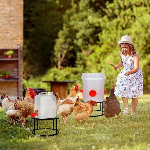 Sturdy Metal Stand for Chicken Feeder Waterer with Spill Design Easy Assembly Outdoor Rack Chicken Feeder Bracket