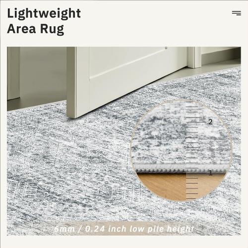 Soalmost 4x6 Area Rug for Living Room, Washable Rugs Non-Slip, Grey