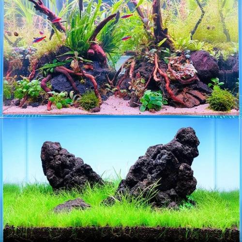 Black Lava Rock 5lb Natural Volcanic Stone for Fish Tank,3 Pcs 4-6 in