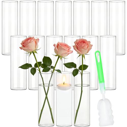 16 Pack Glass Cylinder Bud Vases for Centerpieces, 7.8” H x 2.5” W