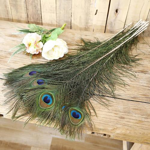 Larryhot Natural Large Peacock Feathers Bulk,40Pcs,18-20Inch