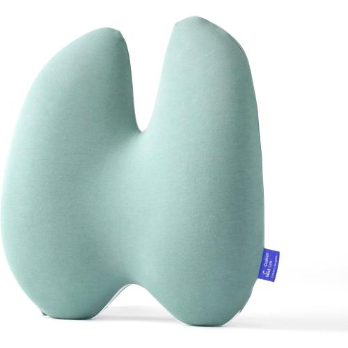 C CUSHION LAB Extra Dense Lumbar Pillow - Patented Ergonomic Multi-Region Firm Back Support for Lower Back Pain Relief - Lumbar Support Cushion with Strap for Office Chair, Car, Sofa - Wellness Green