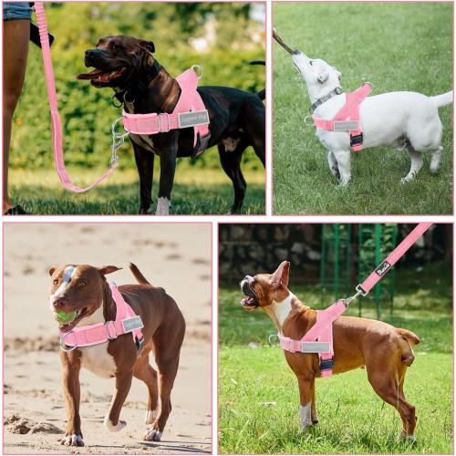 SlowTon No Pull Dog Harness and Leash Set - Heavy Duty, Soft Padded