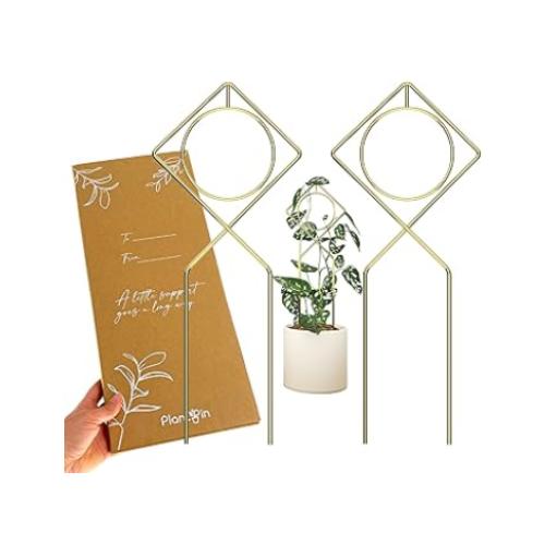 Metal Plant Support Stake for Indoor Climbing Plants, Pothos, Monstera, Philodendron and Vines, Plant Decor Accessories - Size: 17 x 7