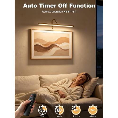 ZitoStory Plug in Picture Light for Wall, Modern Dimmable Picture Frame Lights with Remote LED Wall Art Lights for Paintings Gallery Dartboard (Gold, 16 inch)