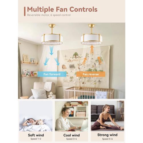 20 Gold Fandelier Ceiling Fans with Lights, Boho Rattan Ceiling Fan with Light Remote Control, Caged Mid-Century Modern with 6 Speeds for Bedroom, Nursery, Living Room
