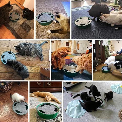 Pawaboo Interactive Cat Toy with Running Mouse, Automatic Track Kitten Toy