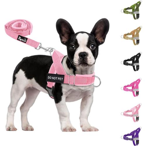 SlowTon No Pull Dog Harness and Leash Set - Heavy Duty, Soft Padded