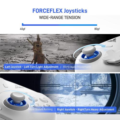 FLYDIGI Direwolf 4 PC Controller Forceflex Joystick Forceswitch Triggers