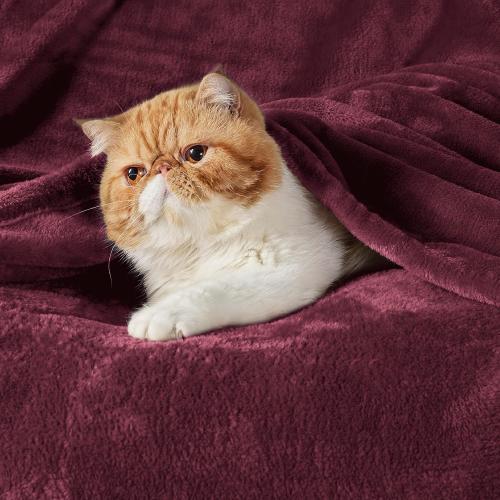 Bedsure GentleSoft Fleece Throw Blanket Red - 300GSM Blankets for Couch, Sofa, Bed, Soft Lightweight Plush Cozy Throws for Toddlers, 50x60 inches