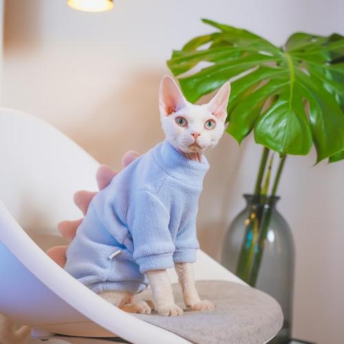Sky Blue Dinosaur Sphynx Cat Clothes Sweater Hairless Cat Apparel