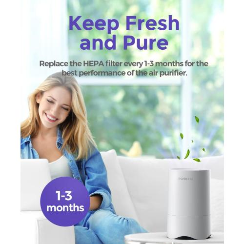 1-Year Pack Air Purifier Replacement Filter for AP001R, True HEPA Filter, 4 Pack