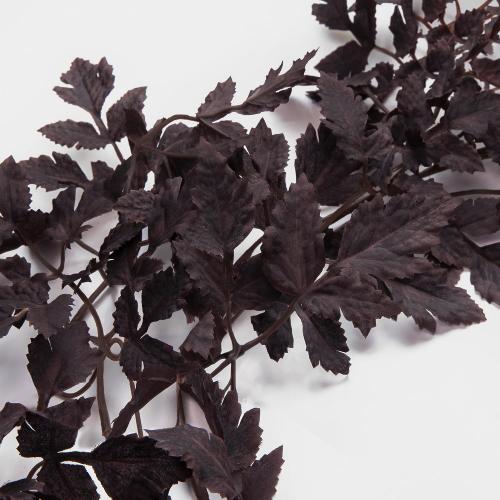 Fall Decorations for Home - 2 Pack 6 Ft Plum Cimicifuga Seeded Garlands