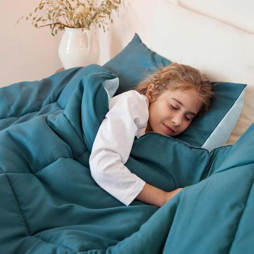 Exclusivo Mezcla Reversible Soft Queen Comforter Set, 3 Pieces