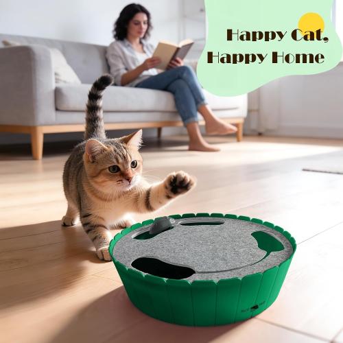 Pawaboo Interactive Cat Toy with Running Mouse, Automatic Track Kitten Toy