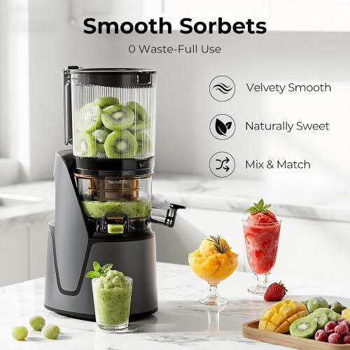 EanOruus Juicer Machines, 3-in-1 Cold Press Juicer, Premium Gray