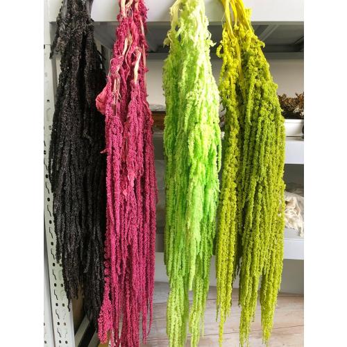 5 Pcs Bleached Wisteria Vine Hanging Dried Flowers, Natural Preserved Hanging Amaranthus Flowers for Wedding Bouquet, Wall Home Party Decor (Wine Red)