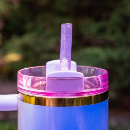 CharCharms 40oz Water Bottle Straws Wicked Glinda