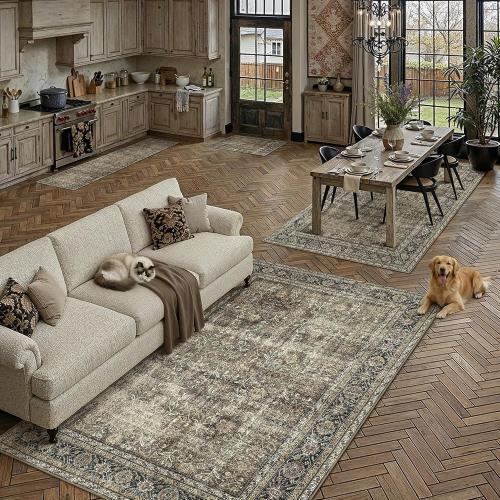 Brown Area Rug 6x9 Vintage Traditional Distressed