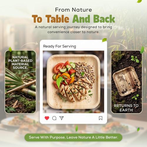 Perfectware Disposable 8 Inch Bamboo Disposable Square Plates (25 Pieces) Bamboo Serving Plates Eco Earth Friendly Dinnerware. Great for Holidays, Weddings, Parties and Catering. 25 Count.