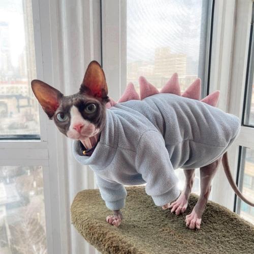 Sky Blue Dinosaur Sphynx Cat Clothes Sweater Hairless Cat Apparel