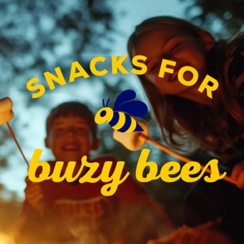 6pk HONEY MAID Graham Crackers, Lunch Snacks, Party Size, 12.8 oz